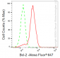 KD-Validated Anti-Bcl-2 Rabbit Monoclonal Antibody